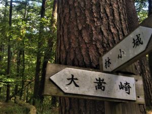 Hiking Up Through History: The Twin Ruins of Hayashi Castle