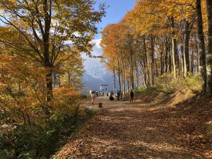 เที่ยว Hakuba สกีรีสอร์ทชื่อดังของนากาโน่ด้วยรถไฟ JR Resort View Furusato