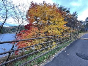 垂釣於「美鈴湖」之紅葉景