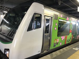 乘JR旅游专线 松本至白马