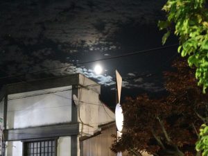 月夜の晩にみどり食堂に行って来ました！