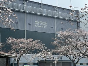 2012.3.30 AM  松本市営球場の桜