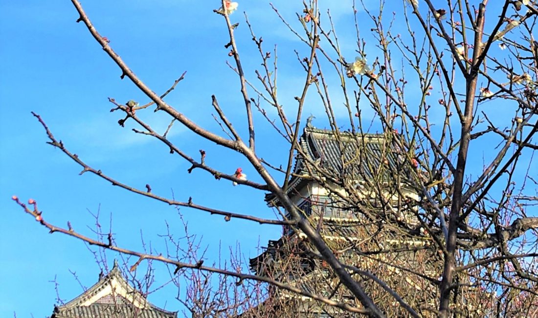Der Frühling kehrt ein