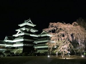 国宝松本城夜桜会　????情報2021/4/05