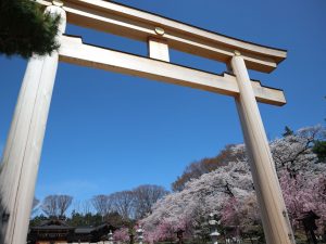 長野懸護国神社????情報 2021/04/06