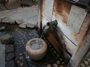 まつもと湧水巡り 「北馬場 柳の井戸 新しい柳を発見！」「葵の井戸」お城の北の井戸