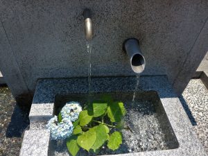 まつもと湧水巡り「蔵の井戸」城下町の名残り中町通りの「食い違い」