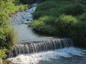 Good morning女鳥羽川サイクリング浅間橋～洞の清流・山城跡